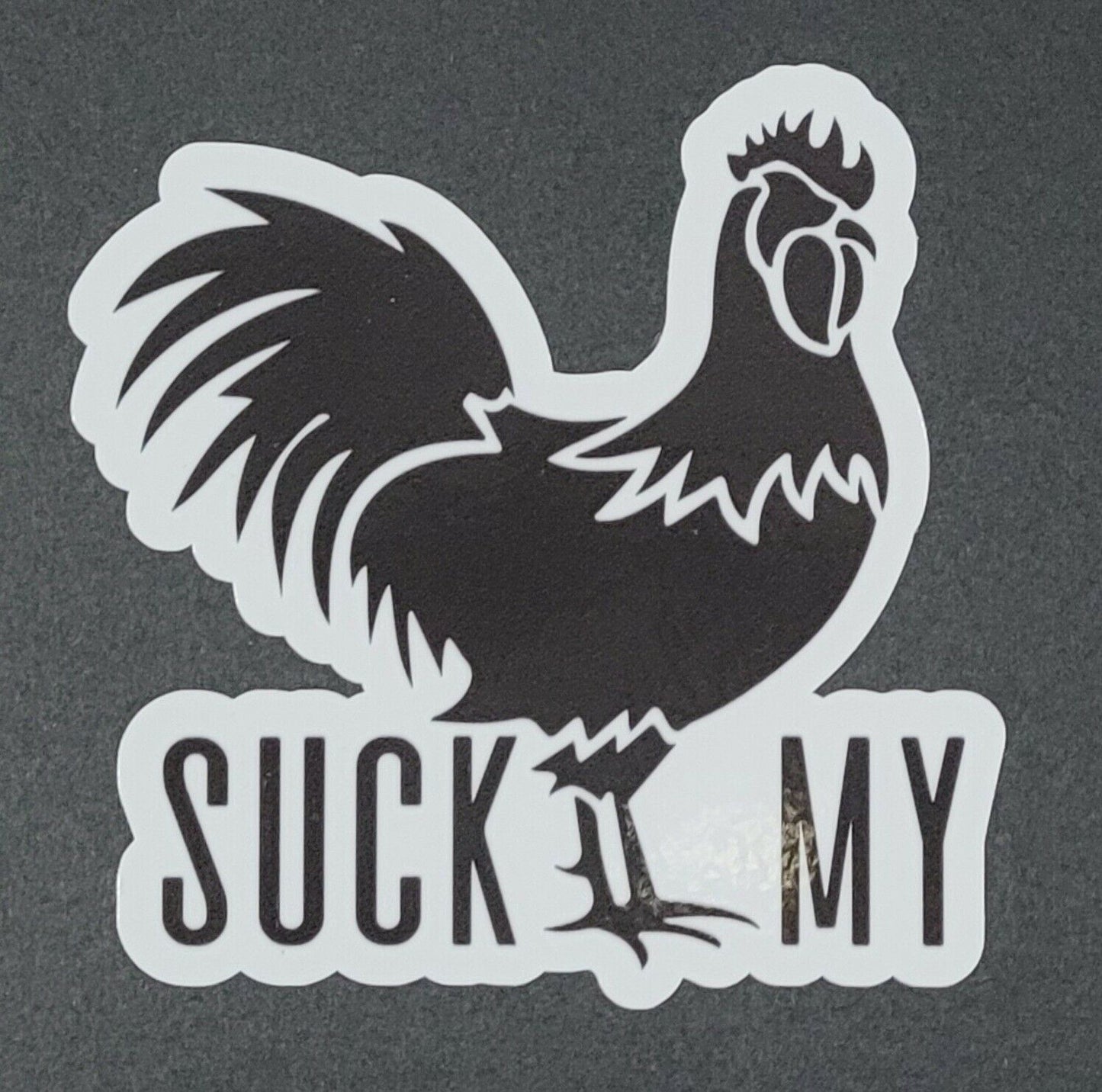 SUCK MY 10cm x 10cm Vinyl Sticker / decal Windows Automotive Marine.