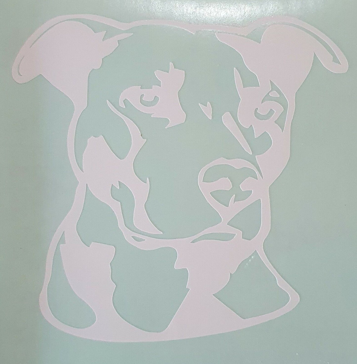 Pitbull 100mm x 100mm