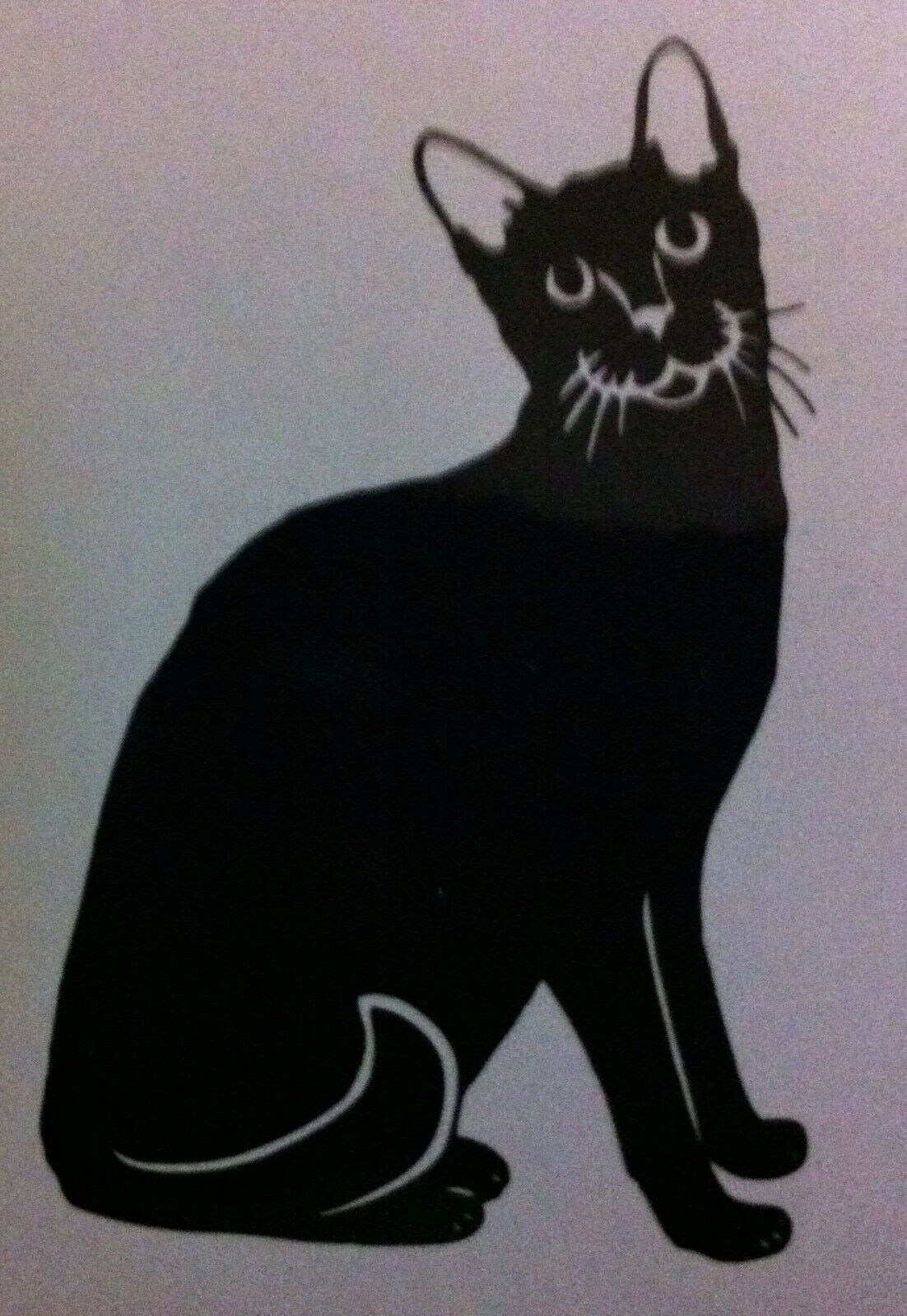 Oriental Short Hair Cat 80mm x 50mm