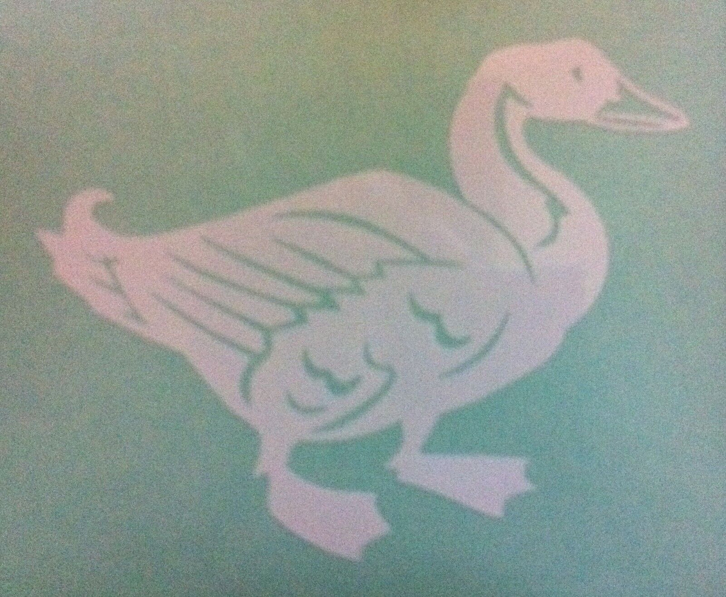 Duck 80mm x 100mm