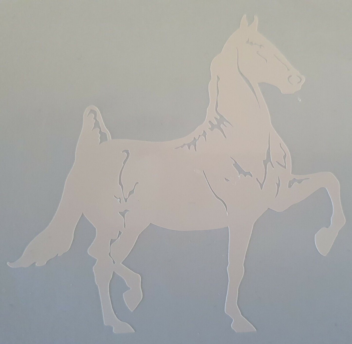 American Saddle Breed 200MM X 200MM