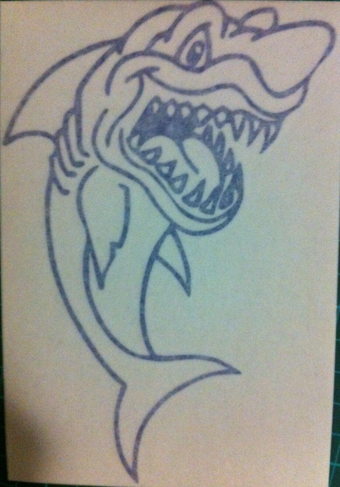 Shark 150mm x 100mm