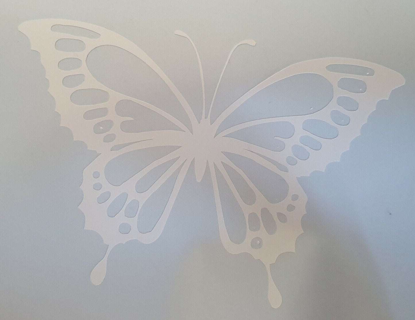butterfly 100mm x 120mm