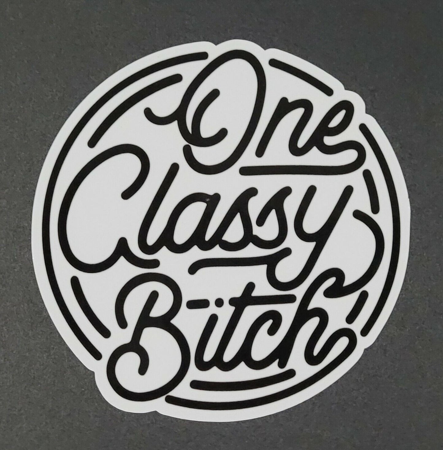 ONE CLASSY BITCH 10cm x 10cm Vinyl Sticker / decal Windows Automotive Marine.